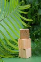 Wooden blocks with eucalyptus branches on green background photo