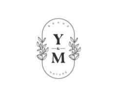 initial YM letters Beautiful floral feminine editable premade monoline logo suitable for spa salon skin hair beauty boutique and cosmetic company. vector