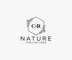 initial CR letters Botanical feminine logo template floral, editable premade monoline logo suitable, Luxury feminine wedding branding, corporate. vector