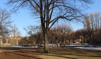 park with bare trees during sunny day in early spring photo