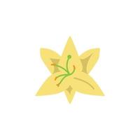 Herb, lily vector icon