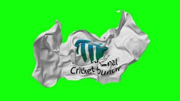 International Kricket Rat, icc Flagge nahtlos Schleifen fliegend im Wind, geloopt stoßen Textur Stoff winken schleppend Bewegung, Chroma Taste, Luma matt Auswahl von Flagge, 3d Rendern video