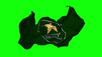 Pakistan Cricket Board, PCB Flag Seamless Looping Flying in Wind, Looped Bump Texture Cloth Waving Slow Motion, Chroma Key, Luma Matte Selection of Flag, 3D Rendering video