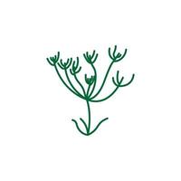 hierba, alcaravea vector icono