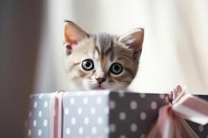A cute kitten looking out of a present box created with technology. photo