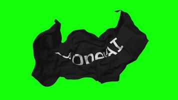 ChatGPT OpenAI Flag Seamless Looping Flying in Wind, Looped Bump Texture Cloth Waving Slow Motion, Chroma Key, Luma Matte Selection of Flag, 3D Rendering video