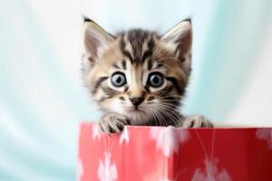 A cute kitten looking out of a present box created with technology. photo