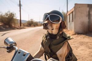 un perro montando un moto creado con generativo ai tecnología. foto