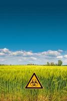 Peaceful landscape with blue sky and yellow wheat field marked with a sign of nuclear war radiation threat with copy space background. Concept war in Ukraine, potential nuclear world war. photo