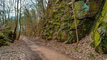 Panoramic view over a forest track in magical deciduous and pine forest with ancient aged trees covered with moss and mossed rock walls, Germany, at warm sunset Spring evening photo