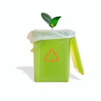 Green garbage trash bin with bag inside and growing a plant tree and with its shadow and recycling symbol isolated at white background. Concept of waste recycling and environment. photo