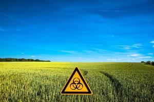 Peaceful landscape with blue sky and yellow wheat field marked with a sign of nuclear war radiation threat with copy space background. Concept war in Ukraine, potential nuclear world war. photo