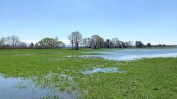 inundado tierra. pantanal Superior rin Valle Alemania. video