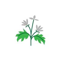 Herb vector icon