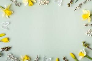 Spring flowers flat lay frame composition on pastel green background with copy space. Daffodils and willow with butterfly top view photo