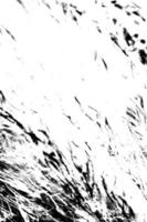 Black and white grunge texture image photo