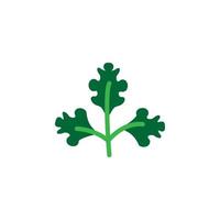 Herb, parsley vector icon