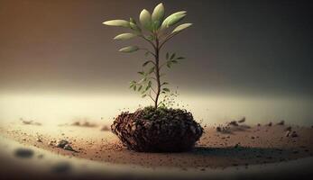 A young plant grows from the ground. photo