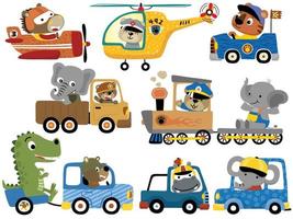 Vector set of cute animals cartoon on vehicles