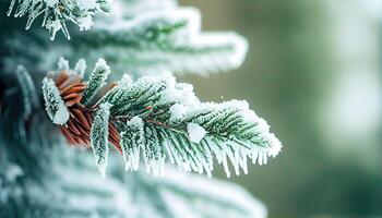 Fir Branch With Pine Cone And Snow Flakes - Christmas Holidays Background. Frosty Christmas tree outdoors. Winter background, close-up of frosted pine branch on snowing with copy space. . photo
