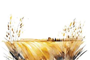 watercolor golden fields with crops illustration design vector