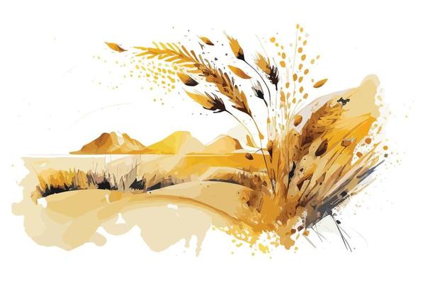 watercolor golden fields with crops illustration design