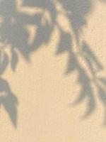 Leaves shadow background on concrete wall texture, leaves tree branches shade photo