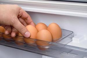 Organic eggs are in the fridge fresh from the farm ready for breakfast. photo