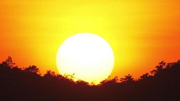 brillante puesta de sol terminado el arboles Dom a atardecer, paisaje video