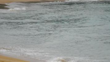 lento movimiento imágenes de ondas, Oceano costa. concepto verano y mar video