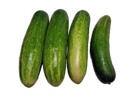 Cucumbers isolated in white background photo