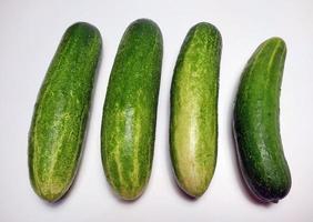 Cucumbers isolated in white background photo