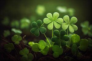 cuatro hojas tréboles en césped en contra borroso natural antecedentes. verde trébol hojas. San Patricio 's día. primavera natural antecedentes. generativo ai foto