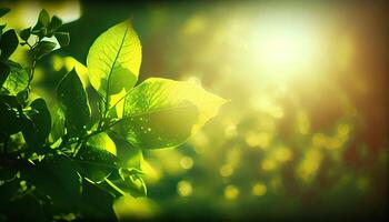 Green leaves of a tree against the sky. Sun soft light through the green foliage of the tree. Spring natural background. Fresh green leaves. photo