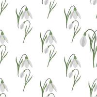 Seamless pattern with spring flowers and snowdrops vector