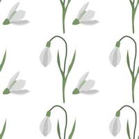 Seamless pattern with spring flowers and snowdrops vector