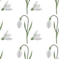 Seamless pattern with spring flowers and snowdrops vector