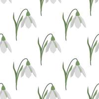 Seamless pattern with spring flowers and snowdrops vector