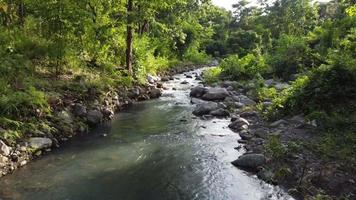 beeldmateriaal rivier- visie Aan top hoek met drone, Woud beeldmateriaal met drone, rivier- beeld, dar visie. Woud en rivier- video hoek van bovenstaande, Woud visie, rivier- visie. 4k beeldmateriaal hoog resolutie