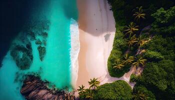 Aerial Drone Photo of waves crashing on the beach. Top view aerial drone shot of beautiful white sand beach with green coconut trees and crystal clear sea water in summer.