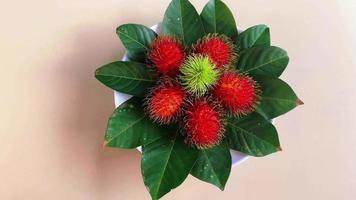 rotierend Anzeige auf Rambutan Frucht. sehr köstlich und gesund. video