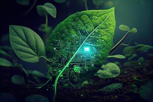 Growing tree on the converging point of acomputer circuit board. Nature with Digital Convergence and Technological Convergence. Green Computing, Green Technology, Green IT, csr, photo