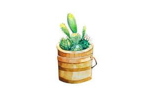 Cactus in wooden pot Watercolor hand painting on white paper Background photo