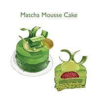 Watercolor Painting of Matcha Raspberry Mousse Cake vector