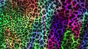 abstrakt Leopard Textur Hintergrund Film, Tier Haut Hintergrund Animation video