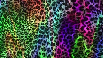 abstrato leopardo textura background filme,animal pele fundo animação video