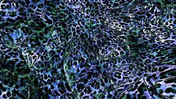 abstrakt leopard textur backgroun film, djur hud bakgrund animering video