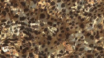 astratto leopardo struttura backgroun film, animale pelle sfondo animazione video