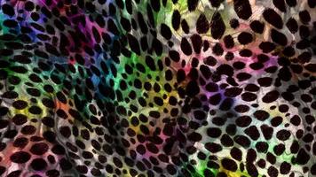 abstrakt leopard textur backgroun film, djur hud bakgrund animering video