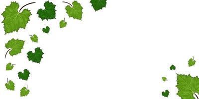 Grapes vine background with its branches and leaves. Free copy space for text. vector